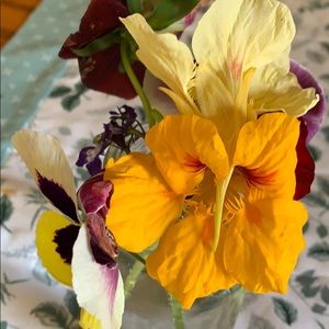 Meet your Posher, Sylvia